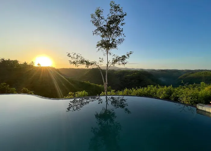 Green Coco Suite